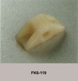 FK6-119